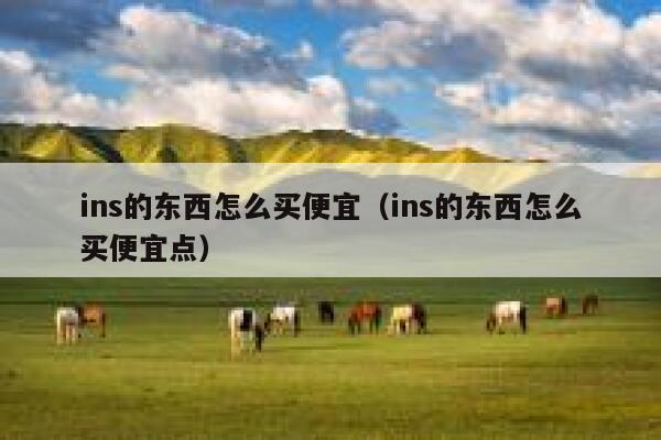 ins的东西怎么买便宜（ins的东西怎么买便宜点） 第1张