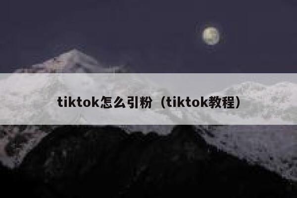 tiktok怎么引粉（tiktok教程） 第1张