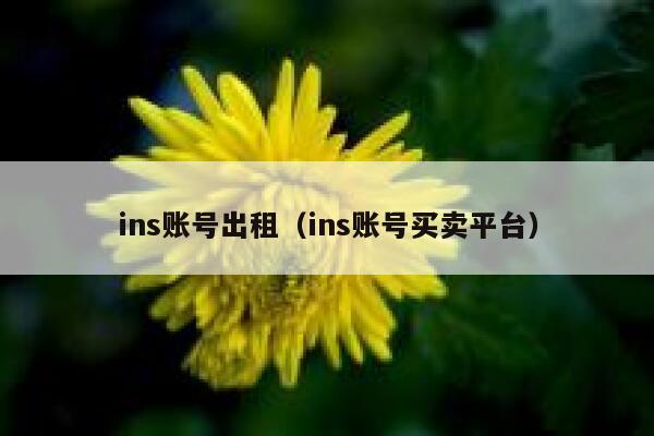 ins账号出租（ins账号买卖平台） 第1张