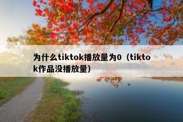 为什么tiktok播放量为0（tiktok作品没播放量） 第1张