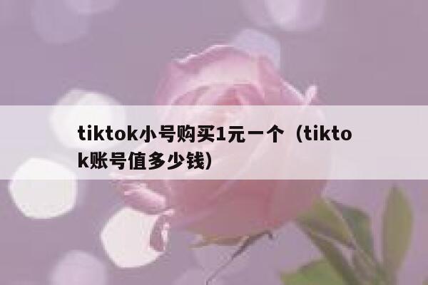 tiktok小号购买1元一个（tiktok账号值多少钱） 第1张