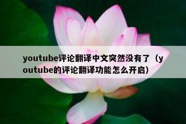 youtube评论翻译中文突然没有了（youtube的评论翻译功能怎么开启） 第1张