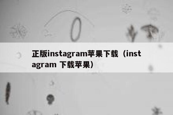 正版instagram苹果下载（instagram 下载苹果） 第1张