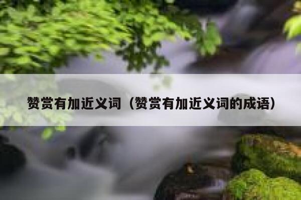 赞赏有加近义词（赞赏有加近义词的成语） 第1张