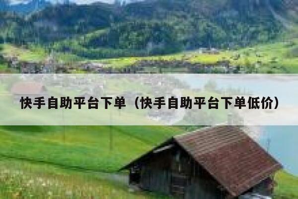 快手自助平台下单（快手自助平台下单低价） 第1张