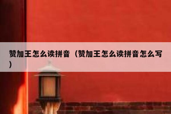 赞加王怎么读拼音（赞加王怎么读拼音怎么写） 第1张