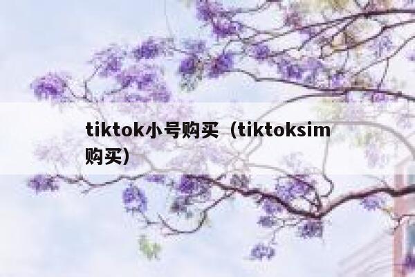 tiktok小号购买（tiktoksim购买） 第1张