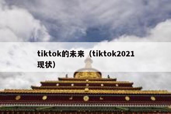tiktok的未来（tiktok2021现状） 第1张
