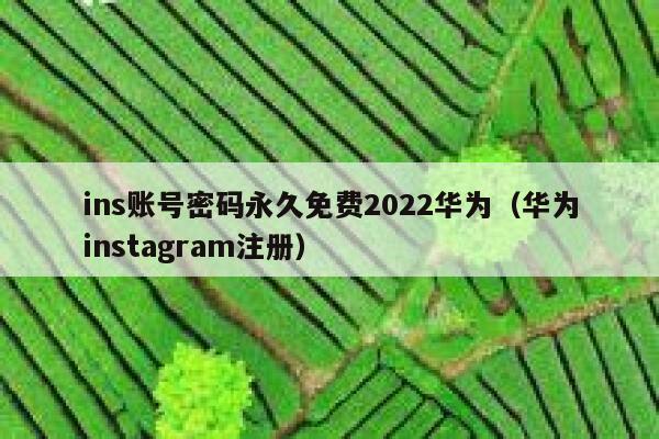 ins账号密码永久免费2022华为（华为instagram注册） 第1张