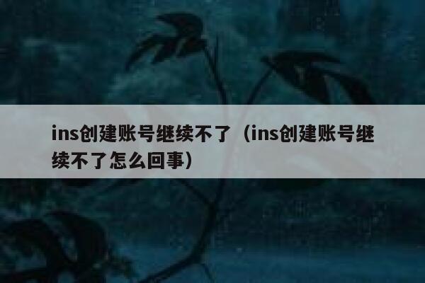 ins创建账号继续不了（ins创建账号继续不了怎么回事） 第1张