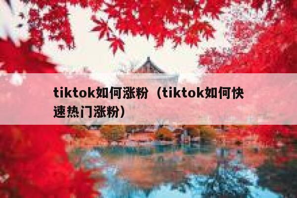tiktok如何涨粉（tiktok如何快速热门涨粉） 第1张