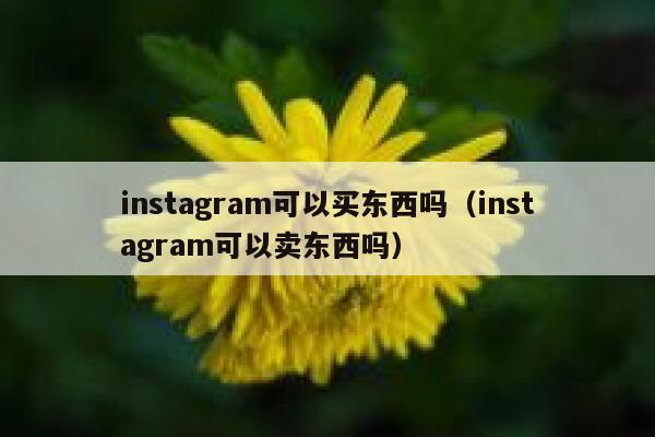 instagram可以买东西吗（instagram可以卖东西吗） 第1张