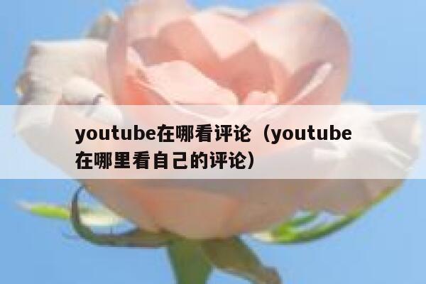 youtube在哪看评论（youtube在哪里看自己的评论） 第1张