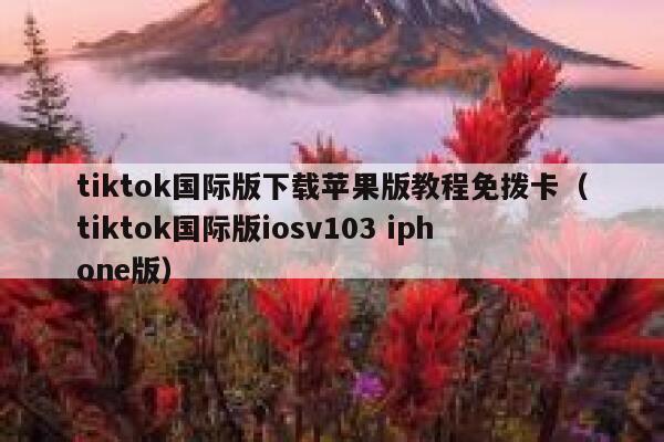tiktok国际版下载苹果版教程免拨卡（tiktok国际版iosv103 iphone版） 第1张