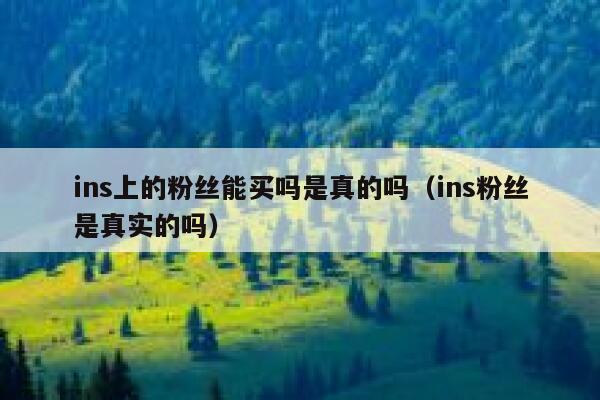 ins上的粉丝能买吗是真的吗（ins粉丝是真实的吗） 第1张