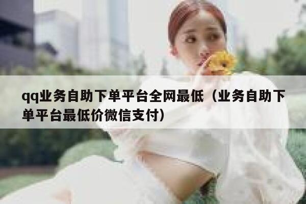 qq业务自助下单平台全网最低（业务自助下单平台最低价微信支付） 第1张