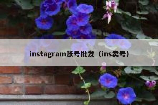 instagram账号批发（ins卖号） 第1张