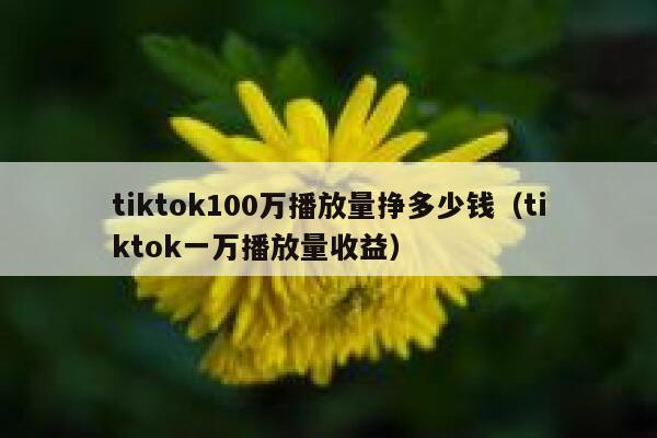 tiktok100万播放量挣多少钱（tiktok一万播放量收益） 第1张