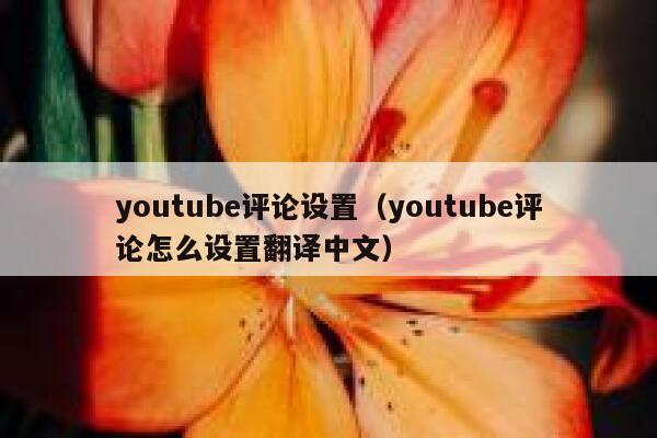 youtube评论设置（youtube评论怎么设置翻译中文） 第1张