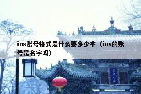ins账号格式是什么要多少字（ins的账号是名字吗） 第1张