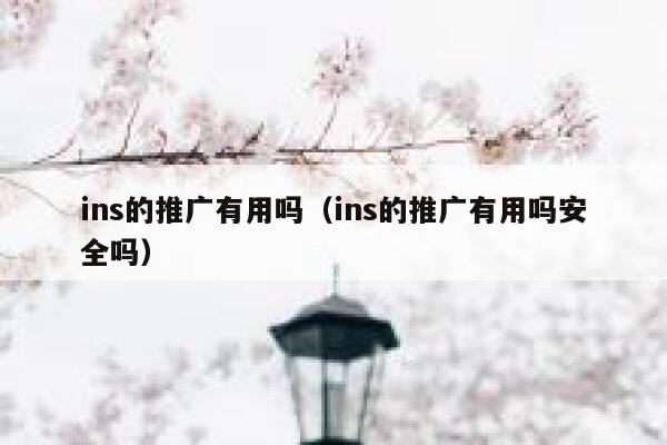ins的推广有用吗（ins的推广有用吗安全吗） 第1张