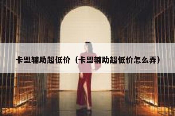 卡盟辅助超低价(卡盟辅助超低价怎么弄) 第1张 卡盟辅助超低价(卡盟辅助超低价怎么弄) 第1张