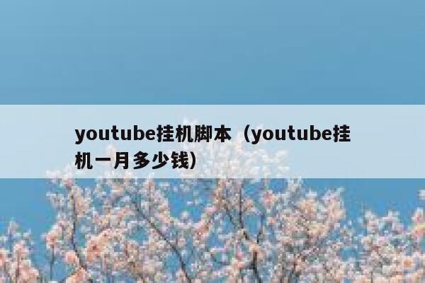 youtube挂机脚本（youtube挂机一月多少钱） 第1张