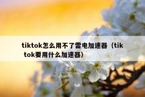 tiktok怎么用不了雷电加速器（tik tok要用什么加速器） 第1张