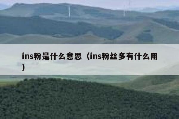 ins粉是什么意思（ins粉丝多有什么用） 第1张