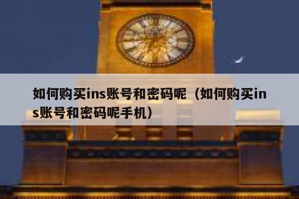 如何购买ins账号和密码呢（如何购买ins账号和密码呢手机） 第1张