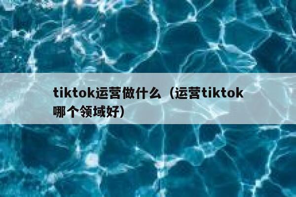 tiktok运营做什么（运营tiktok哪个领域好） 第1张