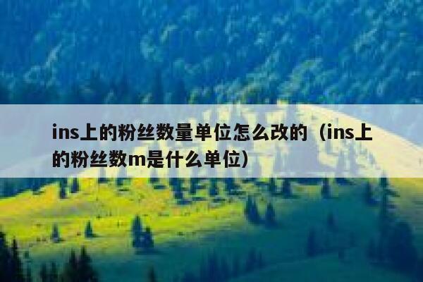 ins上的粉丝数量单位怎么改的（ins上的粉丝数m是什么单位） 第1张