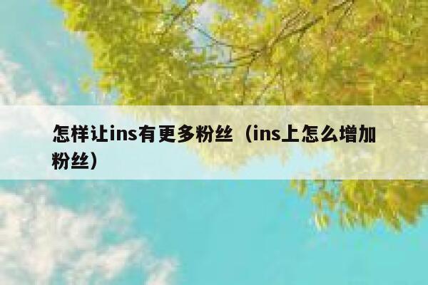 怎样让ins有更多粉丝（ins上怎么增加粉丝） 第1张