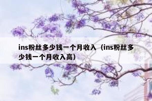 ins粉丝多少钱一个月收入（ins粉丝多少钱一个月收入高） 第1张