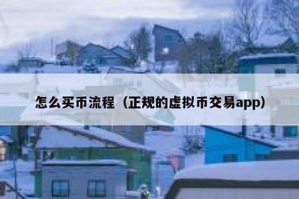 怎么买币流程（正规的虚拟币交易app） 第1张