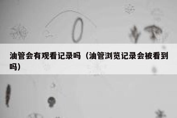 油管会有观看记录吗（油管浏览记录会被看到吗） 第1张