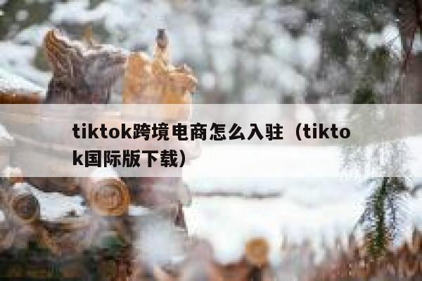 tiktok跨境电商怎么入驻（tiktok国际版下载） 第1张
