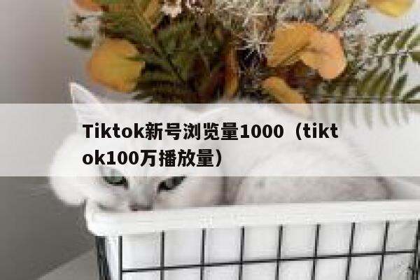 Tiktok新号浏览量1000（tiktok100万播放量） 第1张