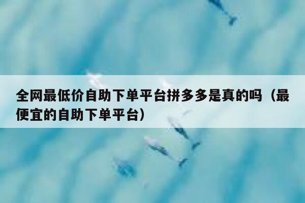 全网最低价自助下单平台拼多多是真的吗（最便宜的自助下单平台） 第1张