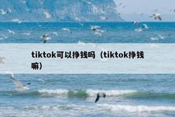 tiktok可以挣钱吗（tiktok挣钱嘛） 第1张