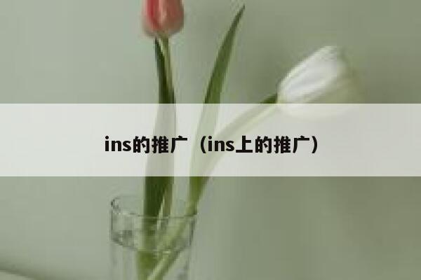 ins的推广（ins上的推广） 第1张