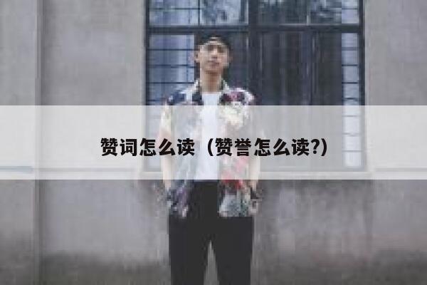 赞词怎么读（赞誉怎么读?） 第1张