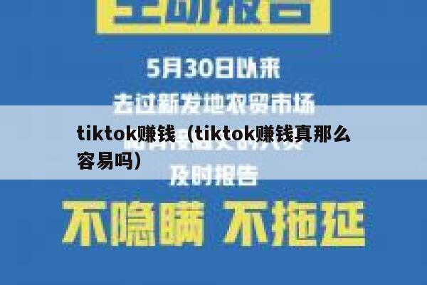 tiktok赚钱（tiktok赚钱真那么容易吗） 第1张
