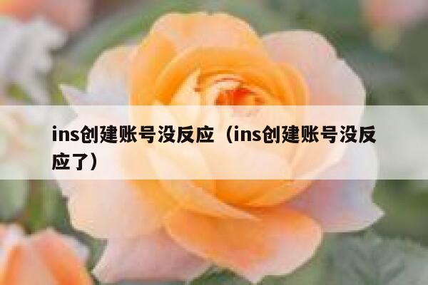 ins创建账号没反应（ins创建账号没反应了） 第1张