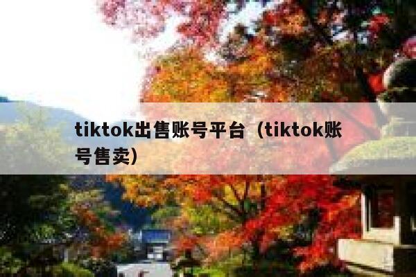 tiktok出售账号平台（tiktok账号售卖） 第1张