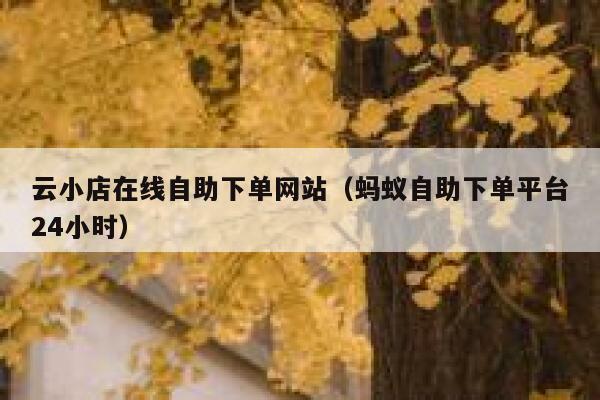 云小店在线自助下单网站（蚂蚁自助下单平台24小时） 第1张