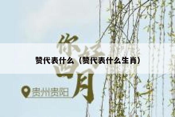 赞代表什么（赞代表什么生肖） 第1张