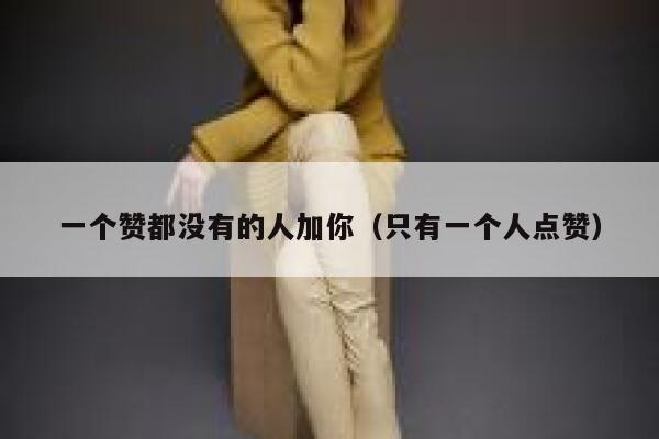 一个赞都没有的人加你（只有一个人点赞） 第1张