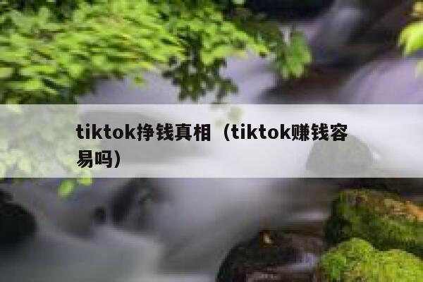 tiktok挣钱真相（tiktok赚钱容易吗） 第1张