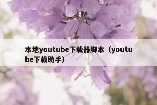 本地youtube下载器脚本（youtube下载助手） 第1张